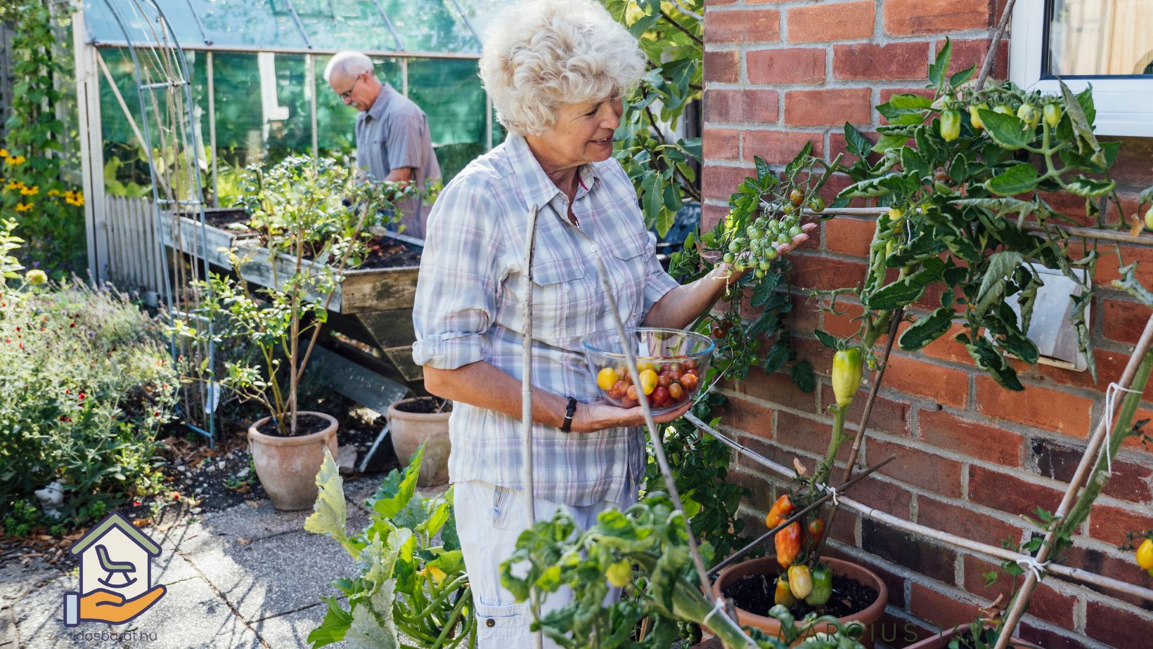 idősbarát kert